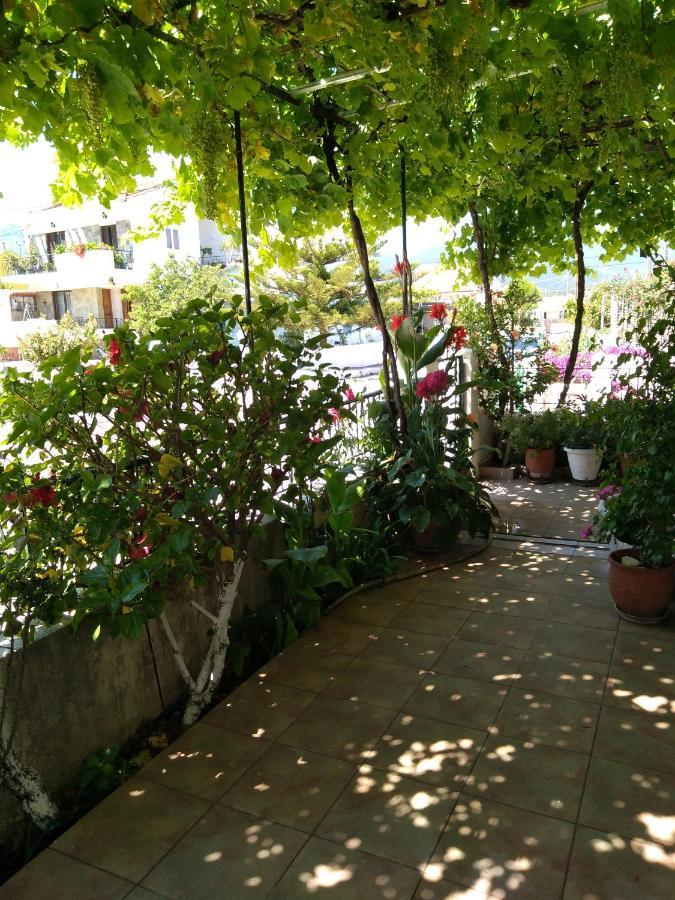 Nostalgia A In 50 Metres From The Sea